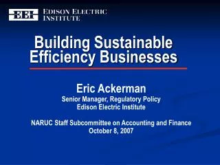 Building Sustainable Efficiency Businesses