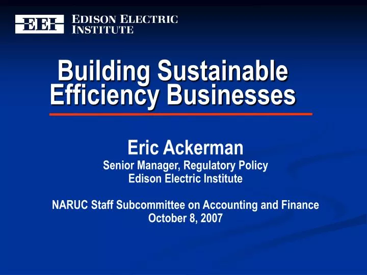 building sustainable efficiency businesses