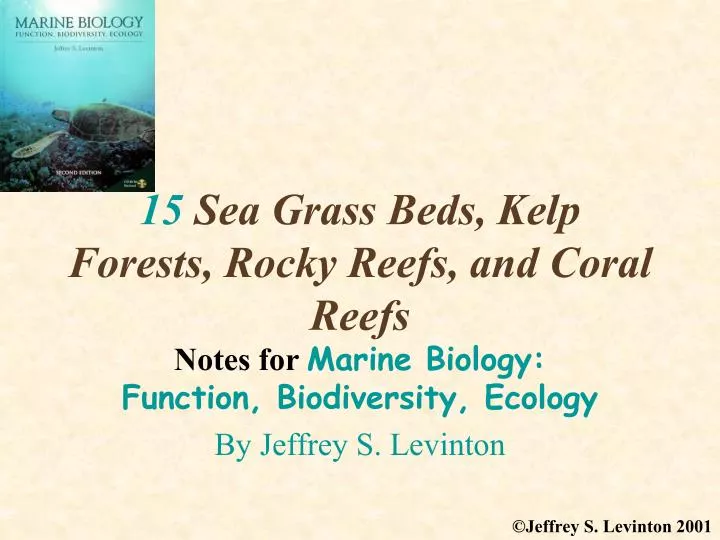 15 sea grass beds kelp forests rocky reefs and coral reefs