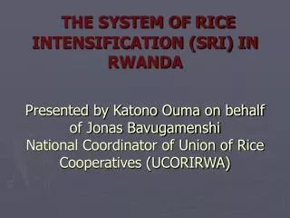 Rice Farming in Rwanda