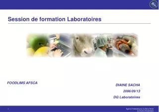 session de formation laboratoires