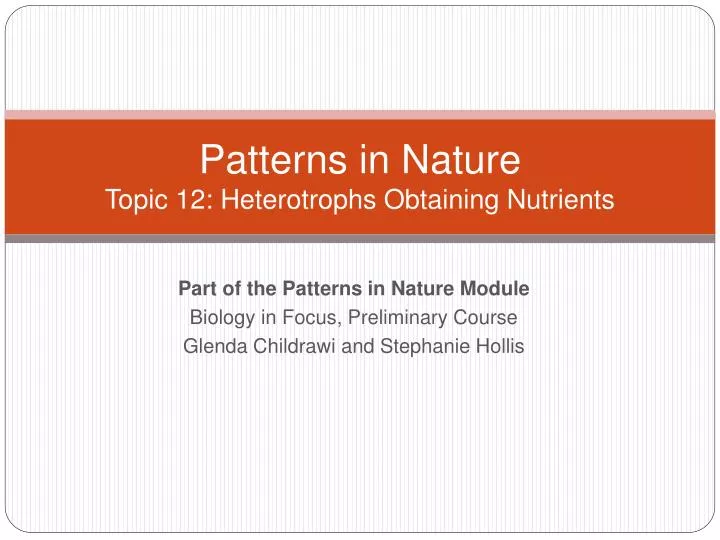 patterns in nature topic 12 heterotrophs obtaining nutrients