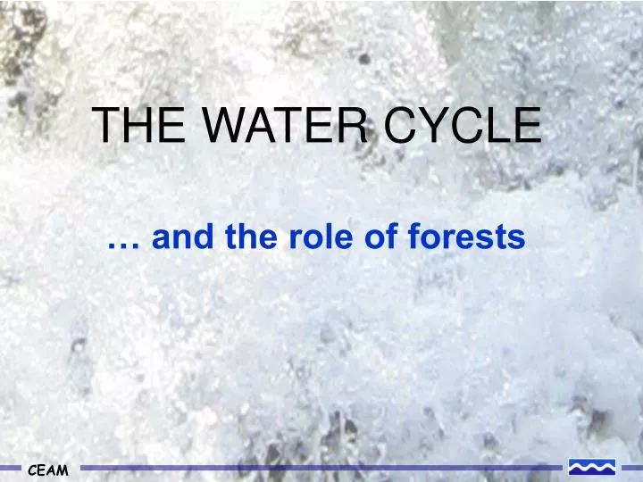 THE WATER CYCLE