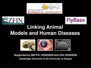 Linking Animal Models and Human Diseases