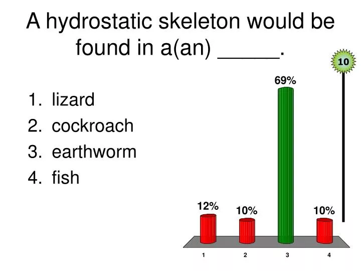 a hydrostatic skeleton would be found in a an