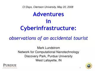 Adventures in Cyberinfrastructure: observations of an accidental tourist