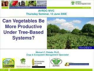 Can Vegetables Be More Productive Under Tree-Based Systems?
