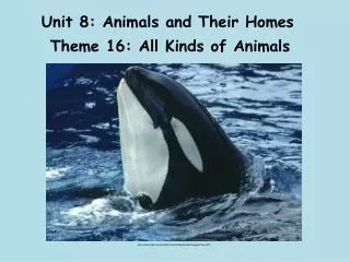 Unit 8: Animals and Their Homes