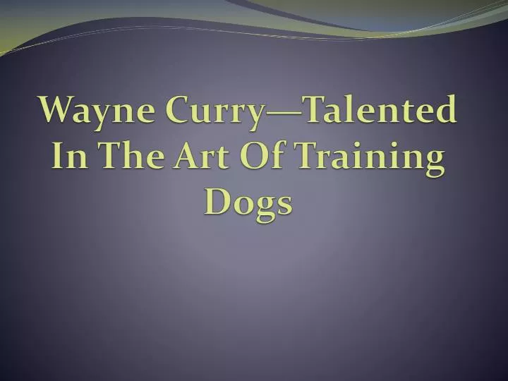 wayne curry talented in the art of training dogs
