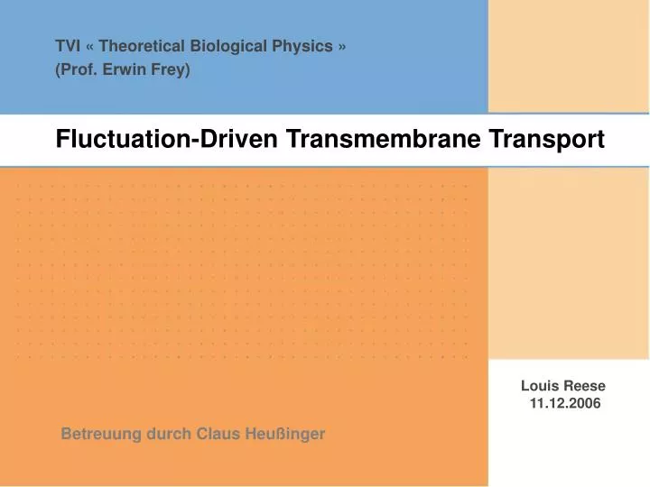 fluctuation driven transmembrane transport