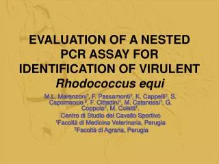 EVALUATION OF A NESTED PCR ASSAY FOR IDENTIFICATION OF VIRULENT Rhodococcus equi