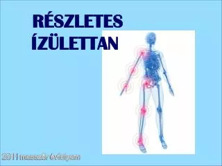 r szletes z lettan