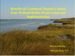 Benefits of Continued Virginia Coastal Zone Wetland Buffer Preservation and Implementation