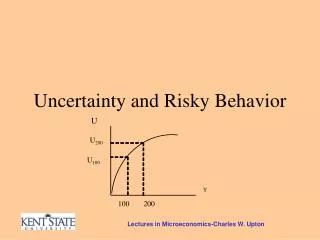 Uncertainty and Risky Behavior