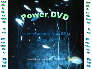sc 11 49102010057 sc 11 49102010057