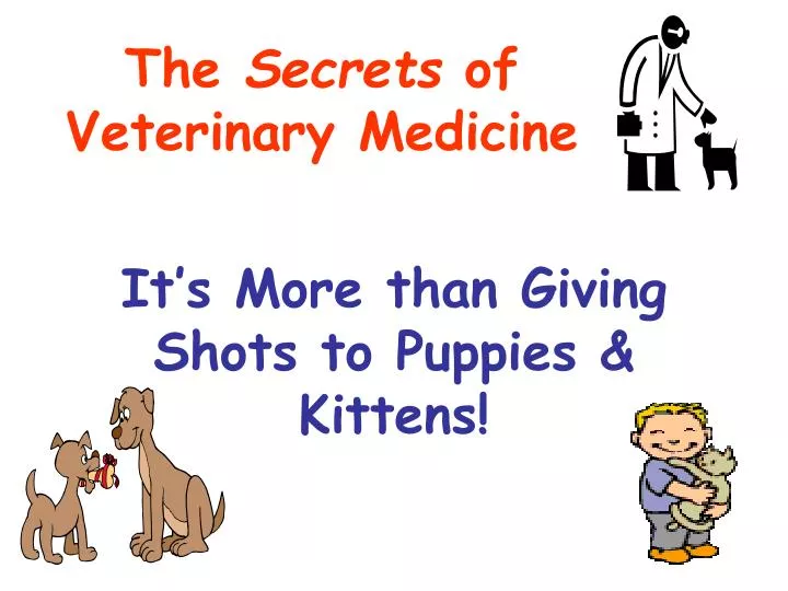 it s more than giving shots to puppies kittens