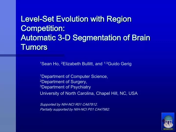 level set evolution with region competition automatic 3 d segmentation of brain tumors