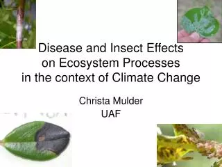 Disease and Insect Effects on Ecosystem Processes in the context of Climate Change