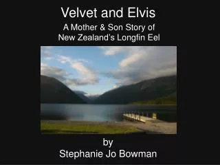 Velvet and Elvis
