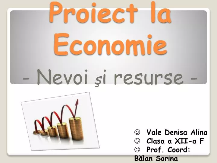 proiect la economie