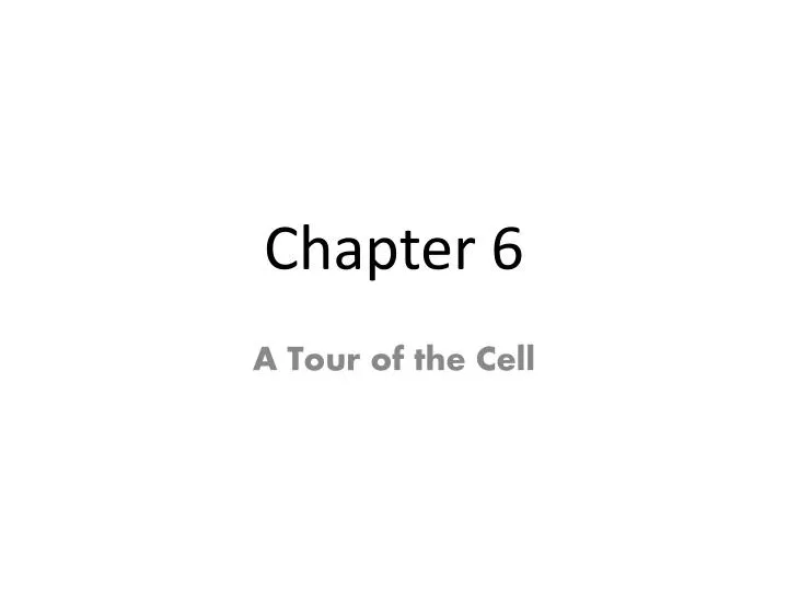 chapter 6