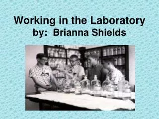 Working in the Laboratory by: Brianna Shields