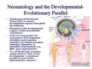 Neonatology and the Developmental- Evolutionary Parallel