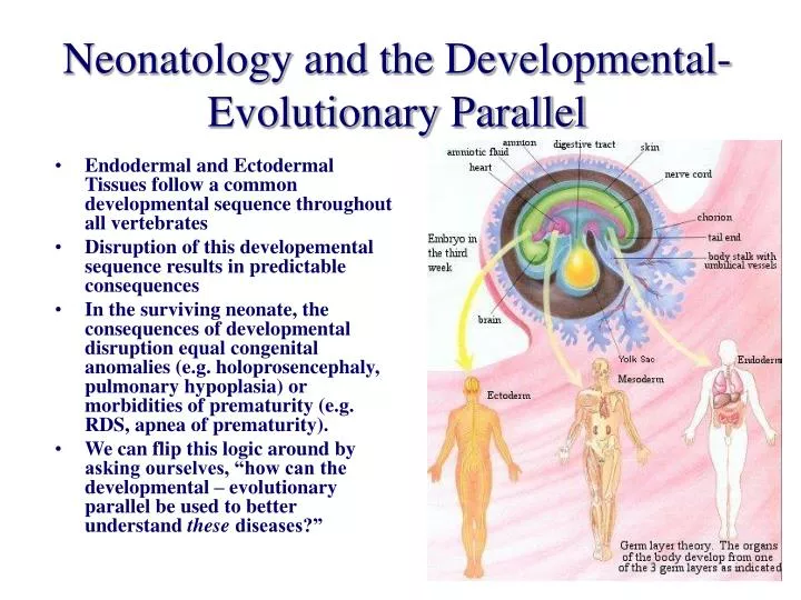 neonatology and the developmental evolutionary parallel