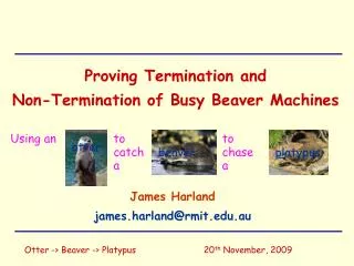 Proving Termination and Non-Termination of Busy Beaver Machines