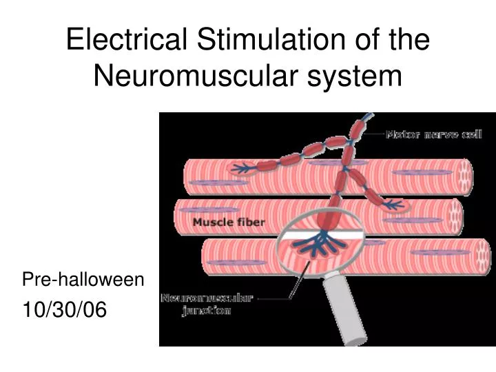 electrical stimulation of the neuromuscular system