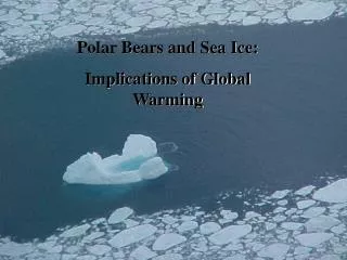 Polar Bears and Sea Ice: Implications of Global Warming