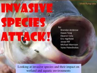 invasive species Attack!