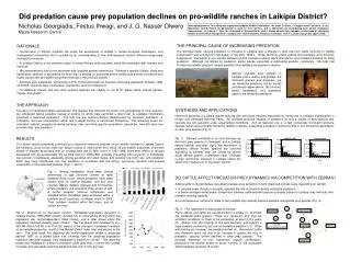 Did predation cause prey population declines on pro-wildlife ranches in Laikipia District?