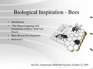 Biological Inspiration - Bees