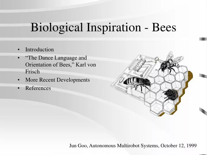 biological inspiration bees