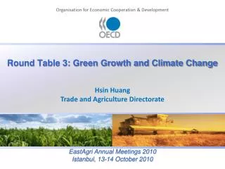 Round Table 3: Green Growth and Climate Change