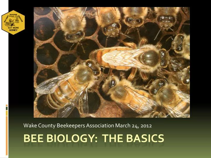 wake county beekeepers association march 24 2012