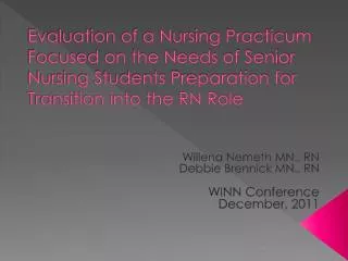 Evaluation of a Nursing Practicum Focused on the Needs of Senior Nursing Students Preparation for Transition into the RN