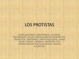 los protistas