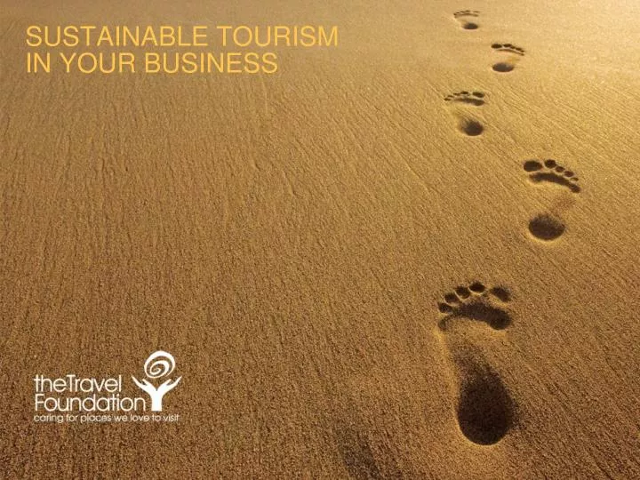 sustainable tourism in your business