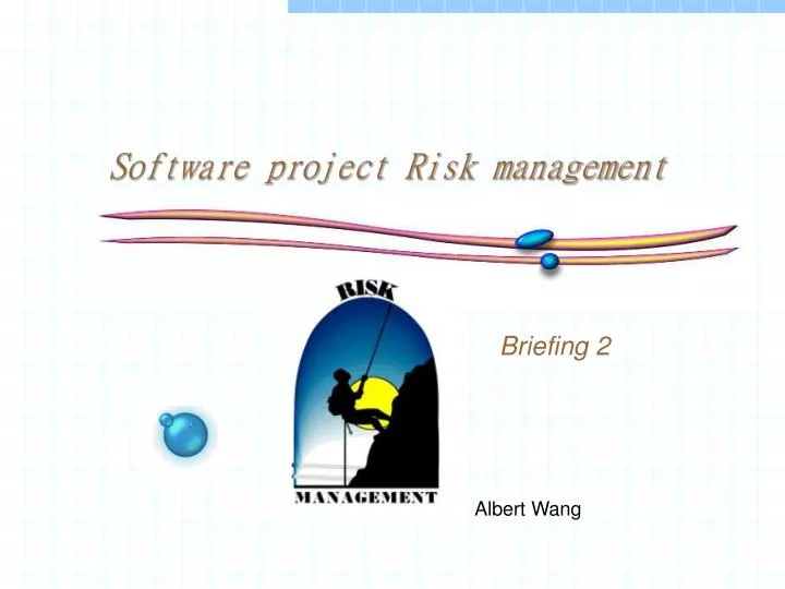 software project risk management