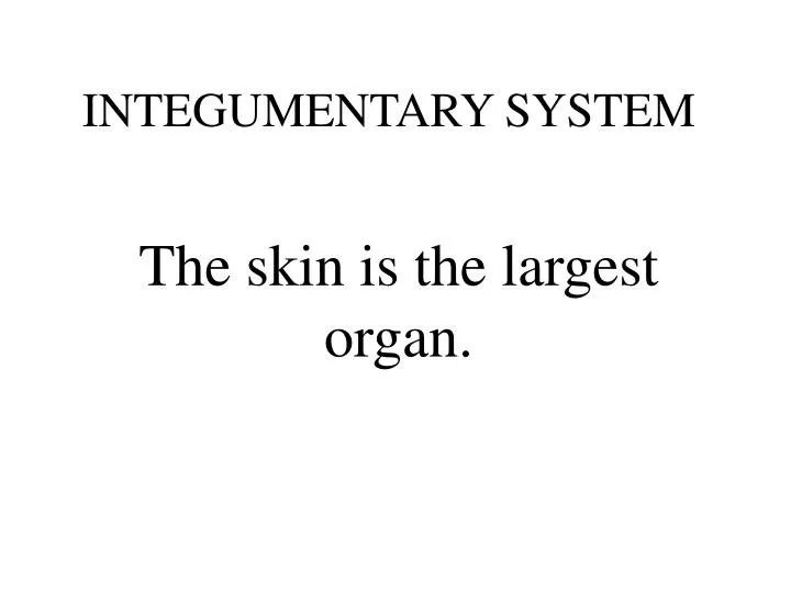 integumentary system