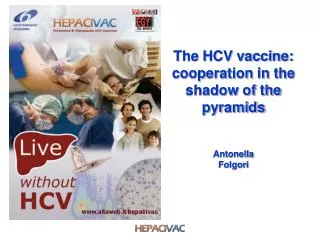 www.altaweb.it/hepacivac