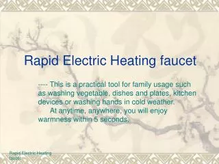 Rapid Electric Heating faucet