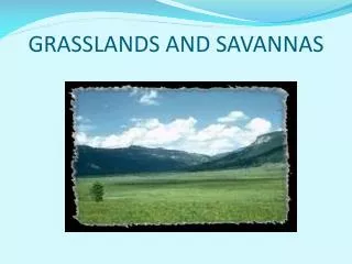 GRASSLANDS AND SAVANNAS