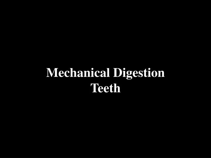 mechanical digestion teeth