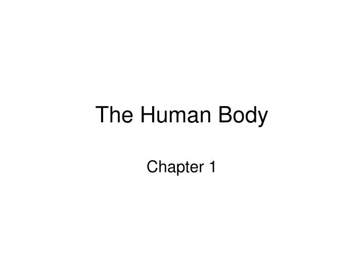 the human body