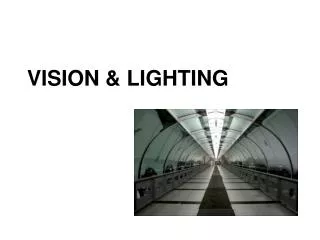 VISION &amp; LIGHTING