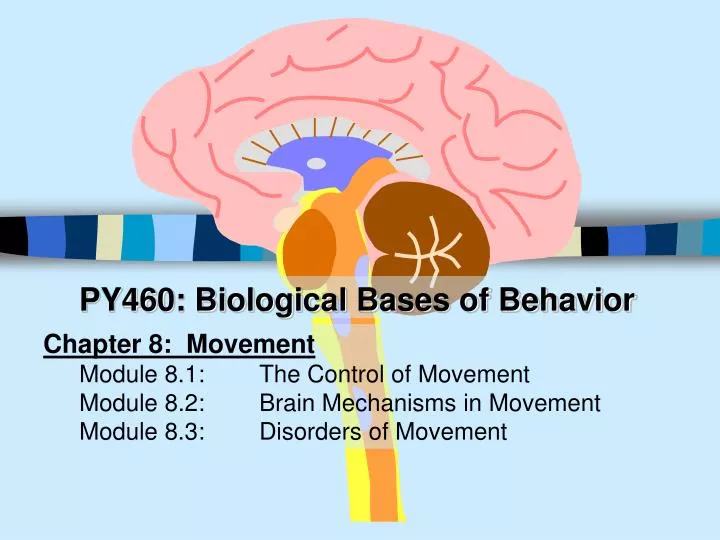 py460 biological bases of behavior