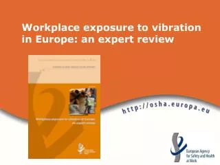 Workplace exposure to vibration in Europe: an expert review